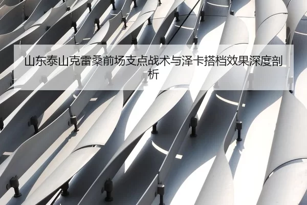 山东泰山克雷桑前场支点战术与泽卡搭档效果深度剖析